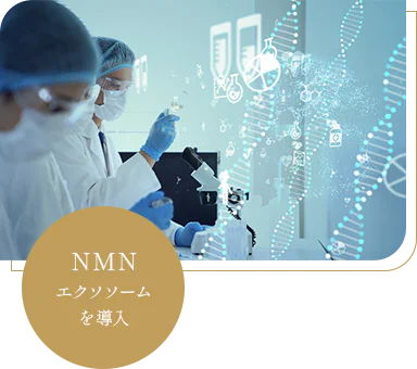 NMNエクソソームを導入