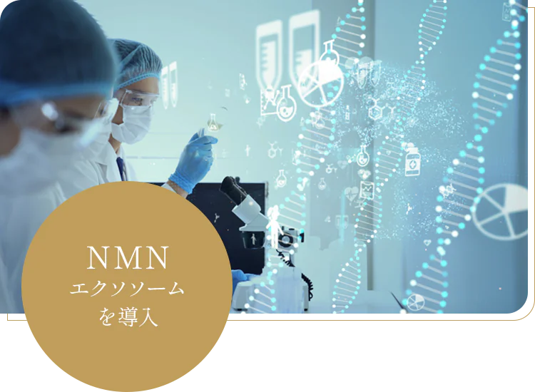 NMNエクソソームを導入